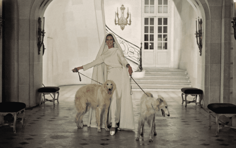 Chic Dogs, Martha Stewart’s New DIY Collection, and The Chairish Emporium at Bergdorf Goodman 